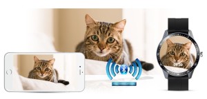 e0b9ea84f8c8a367a9ad5b3135c4feb9