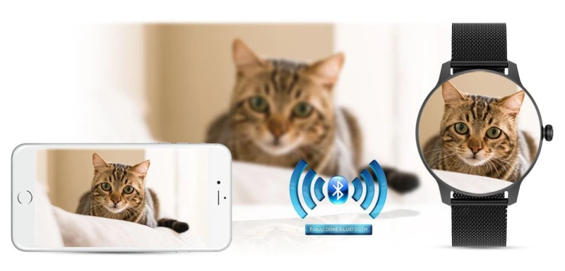 dc82f58bc11bf0177564d2e3466542bd