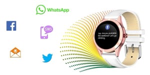d3398dbd3c16731a24f314c6644d5c57
