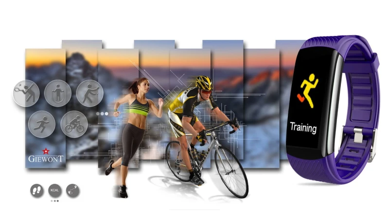 2a14605847d73fa11912208b7b92c504