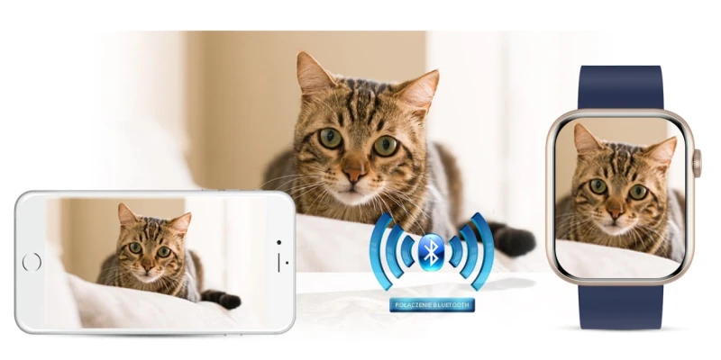 337022711dfc0a9b542a88bcfa41d7c5