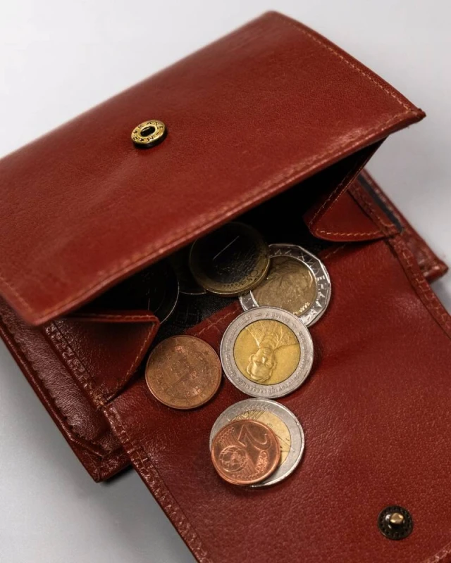 68217e6cfb40ce4af78236c96e258896