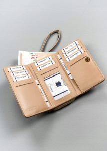 a56f32770ed53a27706d412541ef111f