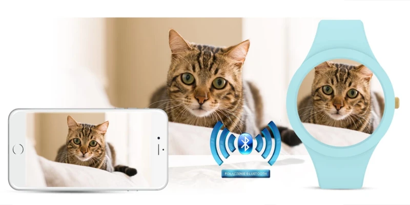 6fe132659850b5db45e1bcab472093f1