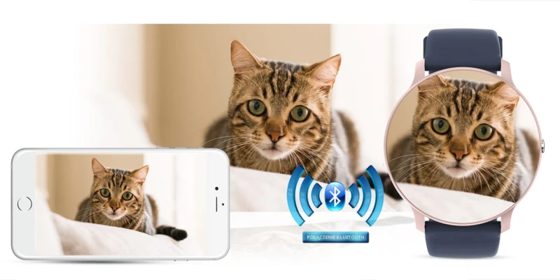 4fce7cf6179ba361ede8208693e8d2c2