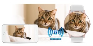 1d2a5ed43b68868bcaf392301d7a28b8