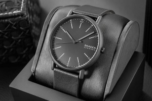 Zegarek Męski Skagen Signatur SKW6902 + BOX