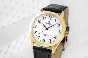 Zegarek Kwarcowy Damski PERFECT GX004-11