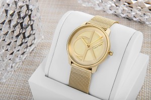 Komplet zegarka CK Iconic Mesh 25200034 z oryginalnym pudełkiem
